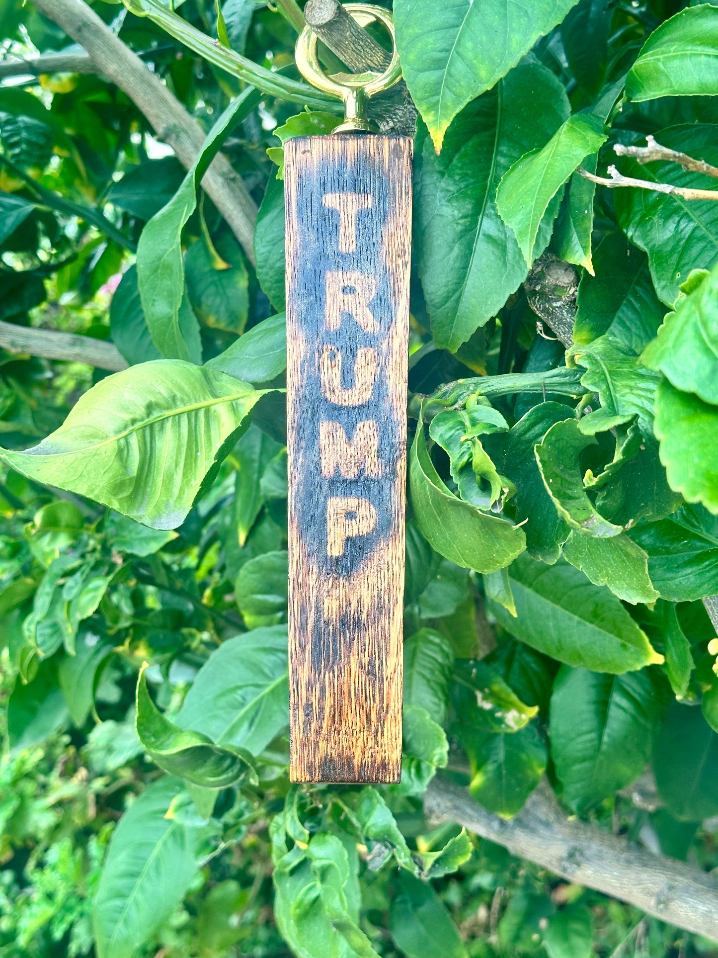 Bottle opener “Trump”