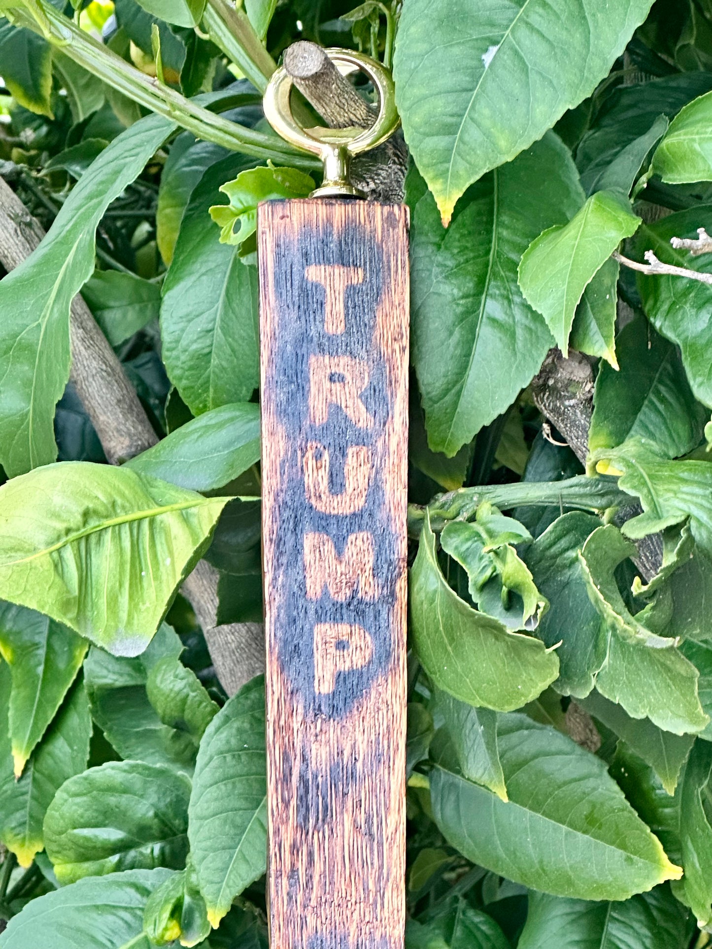 Bottle opener “Trump”